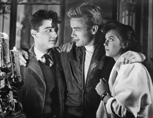 supporting image for Component 1: Rebel Without a Cause and Ferris Buller