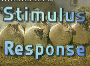 supporting image for Behaviour – Stimulus response