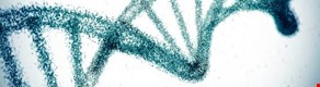 Eduqas Biology for A Level Year 2 and A2 – free PDF edition