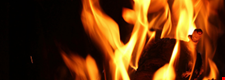Component 3: The Arsonists (The Fire Raisers) - Blended learning