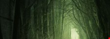 Component 3: Blood Wedding - Blended Learning