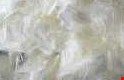Classification of Fibres relevant to Fashion and Textiles