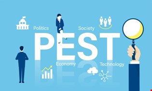 supporting image for ﻿A level Business: Component 3 Pest factors - Blended learning