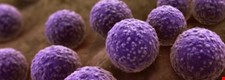 Component 1 - Microbiology - Blended learning