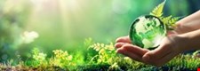 Key Idea 5.3: Processes and interactions within ecosystems - Blended learning