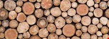 Product design: Stock forms, types and sizes in order to calculate and determine the quantity of materials or components required - Blended learning